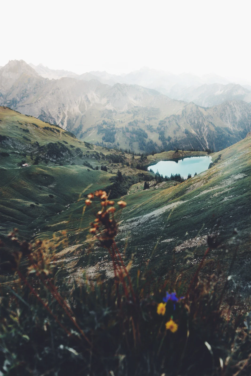 Alpine Landschaft mit Bergsee, Wildblumen und wandernder Person