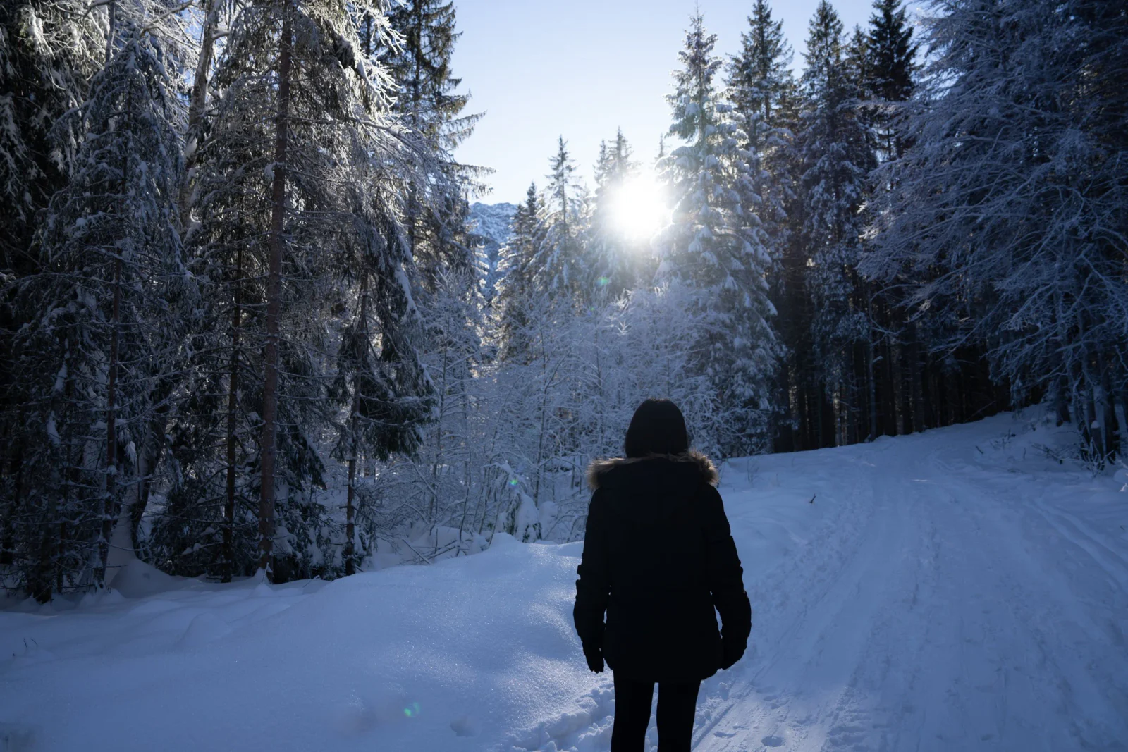 Winterwanderung mit einer Person im verschneiten Wald