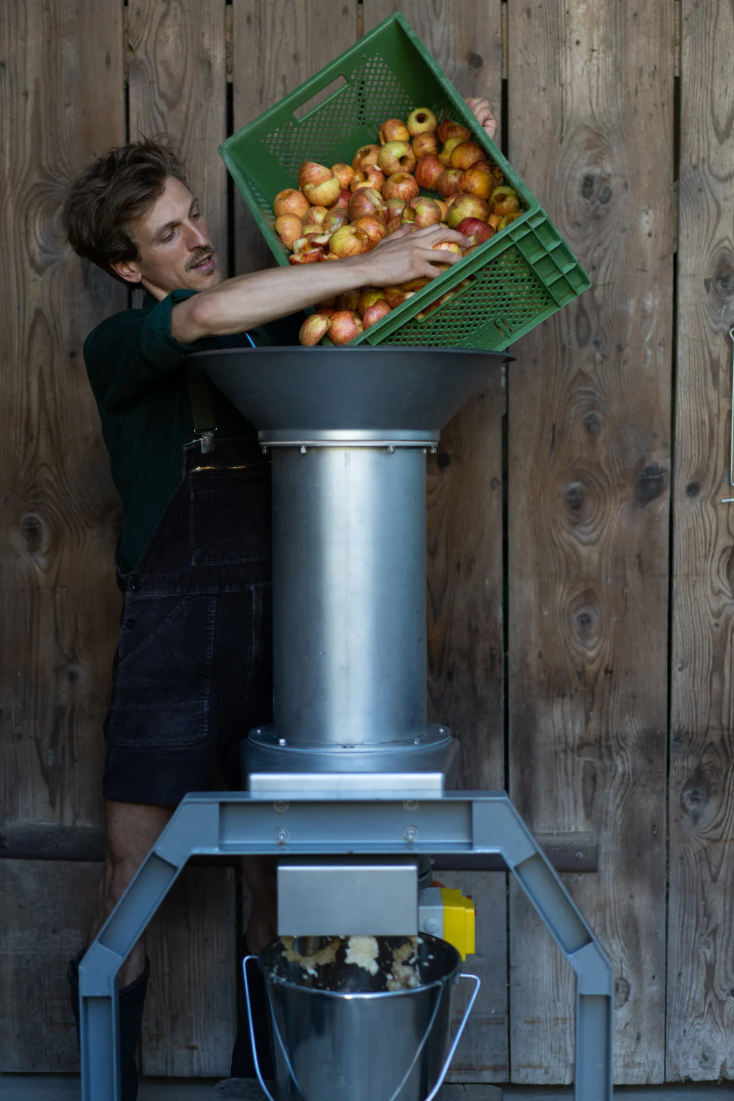 Frische Äpfel werden in die Obstmühle der Destillerie Kolonko gefüllt